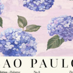 0005 Flower Market Hydrangea Sao Paulo 3x4 8 mockup