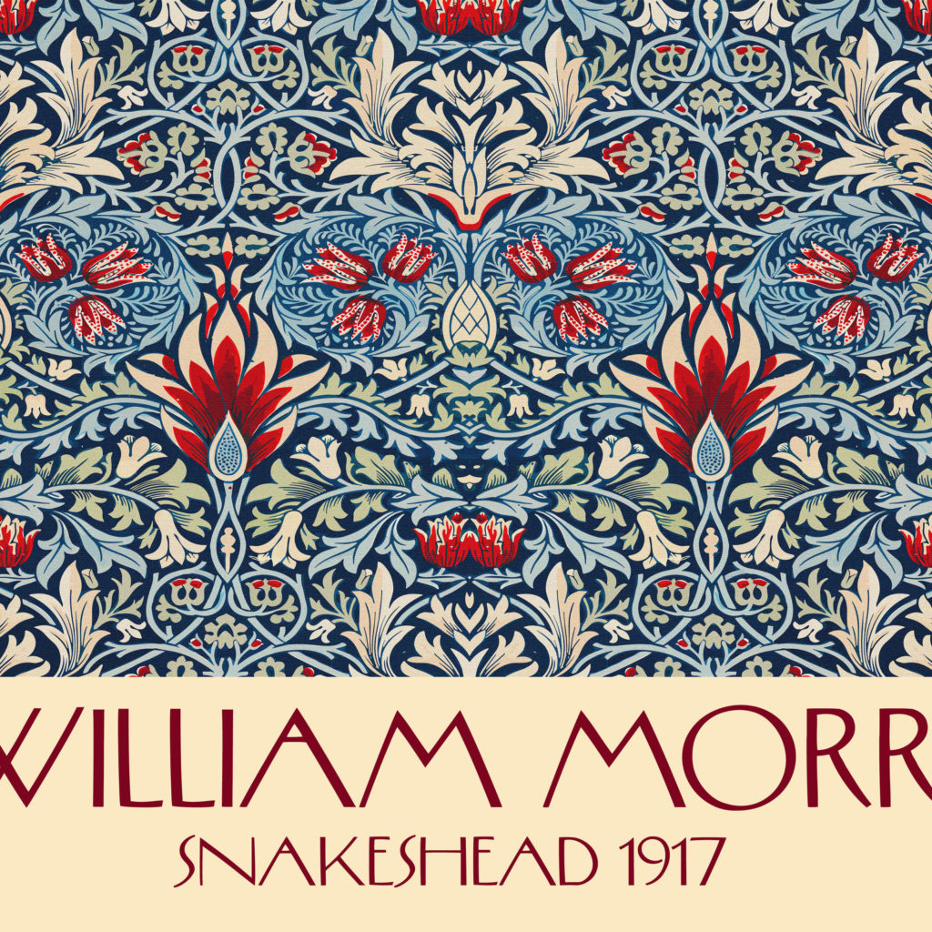 0020 morris SNAKESHEAD 1917 3x4 8 mockup