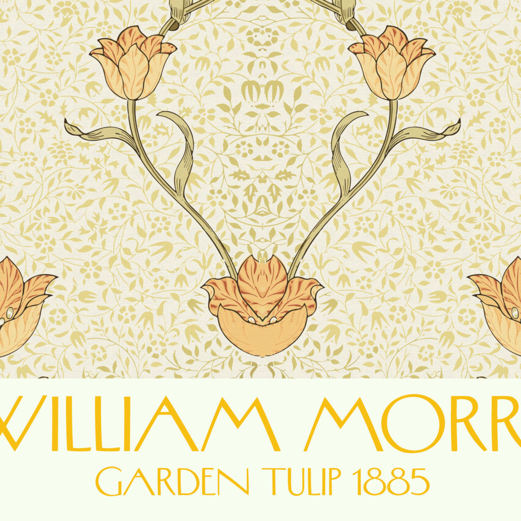 0022 morris tulip 1885 3x4 8 mockup