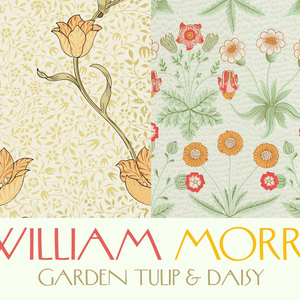 0023 morris tulip daisy 3x4 8 mockup