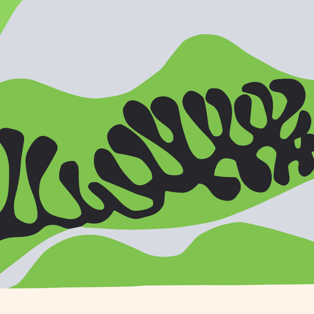 0027 Matisse TheLagoonII 1947 8 mockup