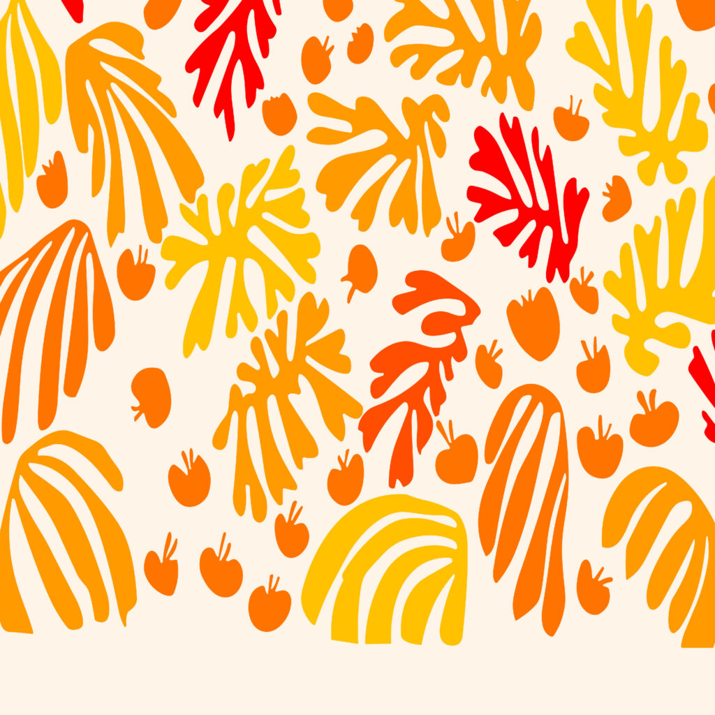0029 Matisse laperruche orange 3x4 8 mockup