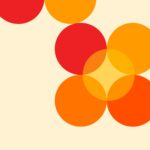 0122 bauhaus19 orange 3x4 8 mockup