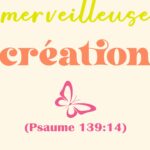 1 jesuisunemerveilleusecreation 8 mockup