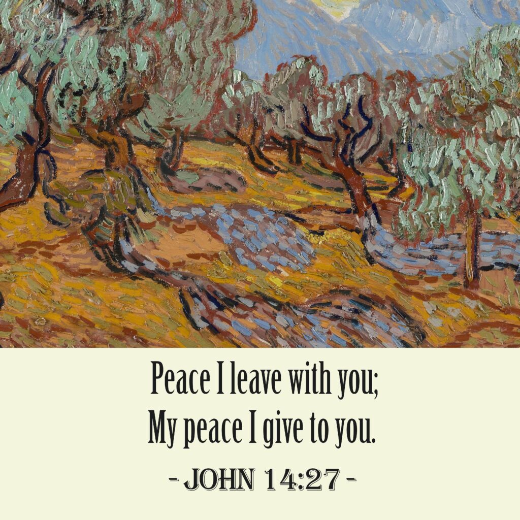 20 John 14 27 8 mockup