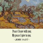 20 John 14 27 8 mockup