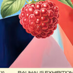 20 raspberry bauhaus 3x4 8 mockup