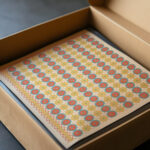 24. Plafond du Tombeau Damenemant n° 58 1911 Gustave Jequier video mockup