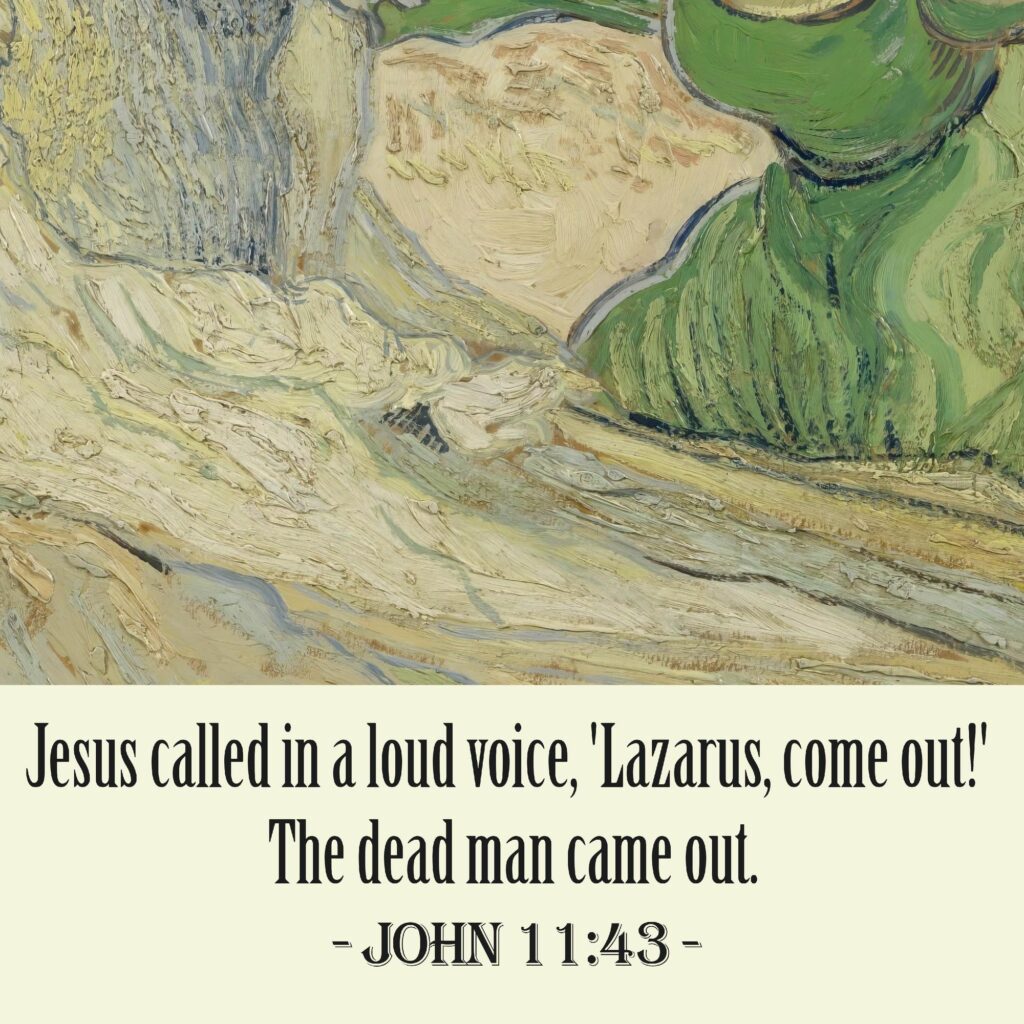 37 John 11 43 8 mockup