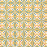 40. Plafond du Tombeau de Hapousenb n° 67 1911 Gustave Jequier 8 mockup