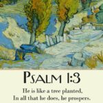 43 Psalm 1 3 8 mockup