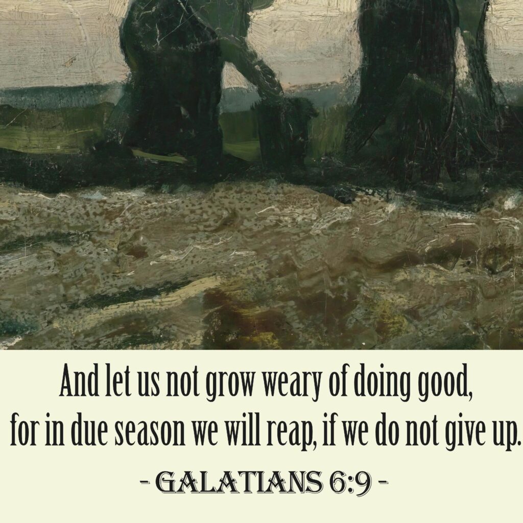 44 Galatians 6 9 8 mockup