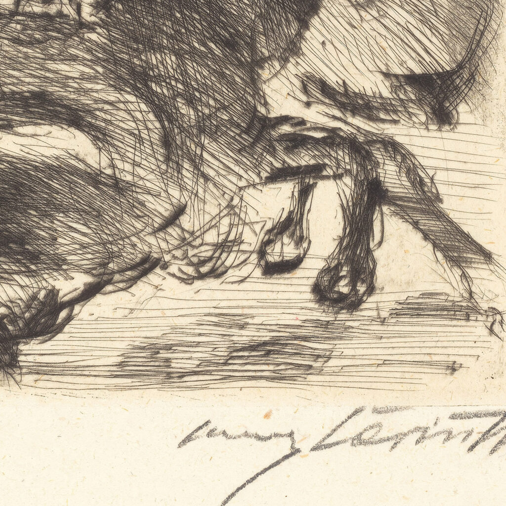 Adhba the Camel Adhba die Kamelin 1919 Lovis Corinth 8 mockup