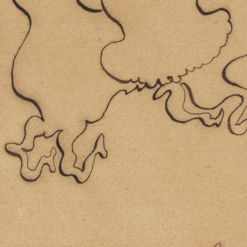 Amazon 1917 Zygmunt Waliszewski 8 mockup