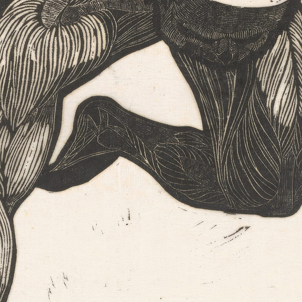 Anatomical study of the neck arm and leg muscles of a man Reijer Stolk 1906 1945 Reijer Stolk 8 mockup