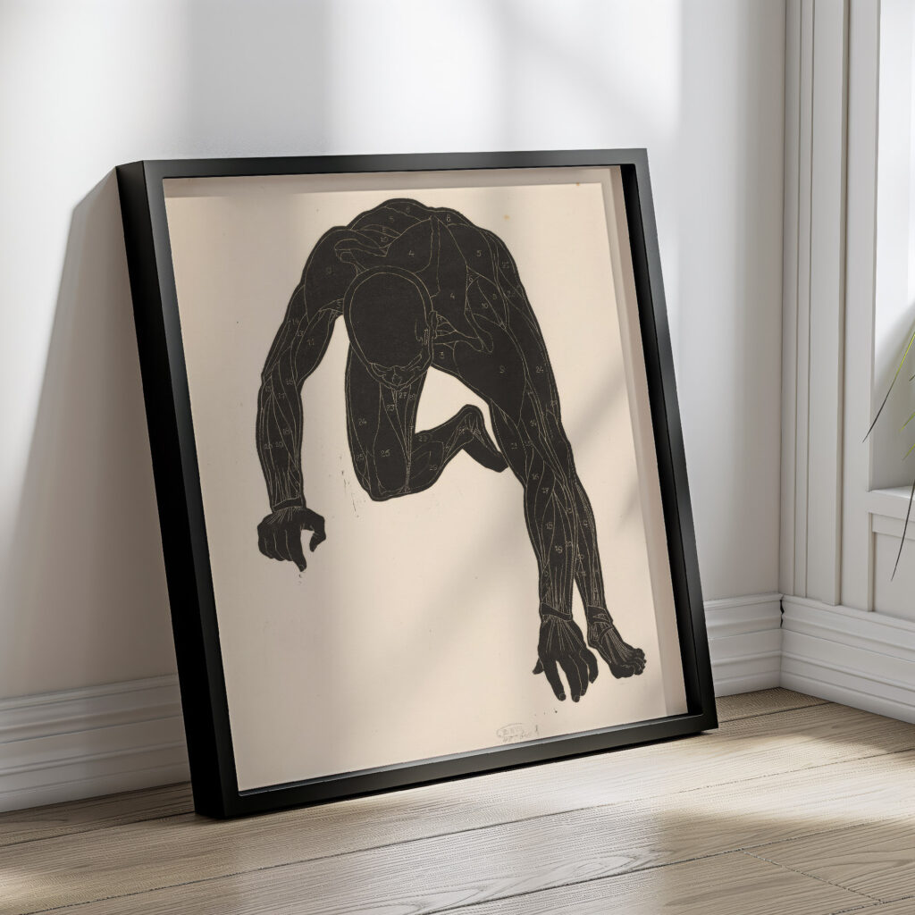 Anatomical study of the neck arm and leg muscles of a man in silhouette 1906 1945 Reijer Stolk 4 mockup