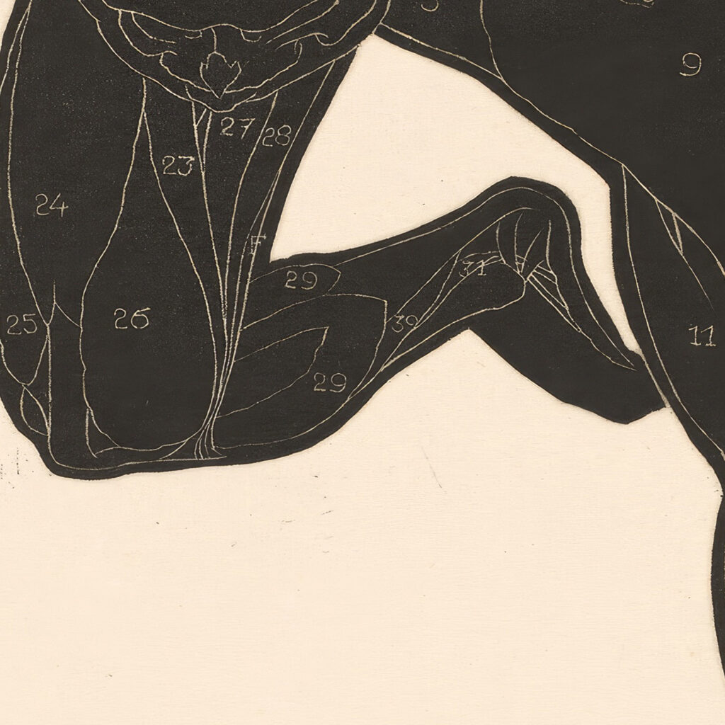 Anatomical study of the neck arm and leg muscles of a man in silhouette 1906 1945 Reijer Stolk 8 mockup