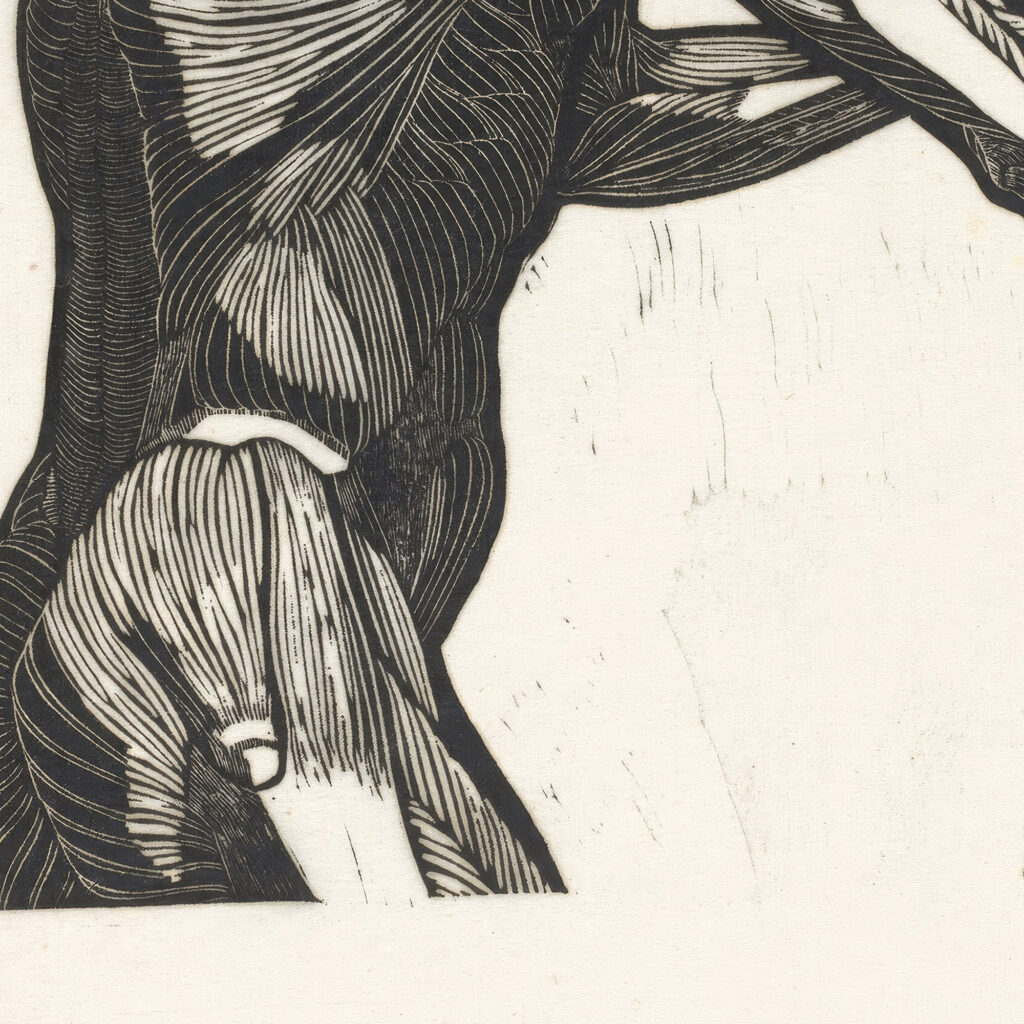 Anatomische studie van de zij en armspieren van een man 1906 Reijer Stolk 8 mockup
