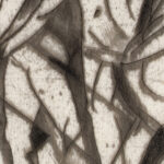 Andante 1916 Arthur Bowen Davies 8 mockup