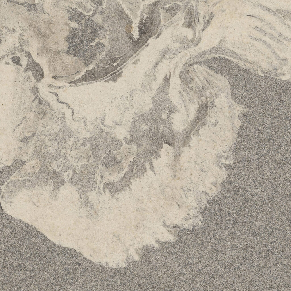 Azaleabloem 1915 Carel Adolph Lion Cachet 8 mockup