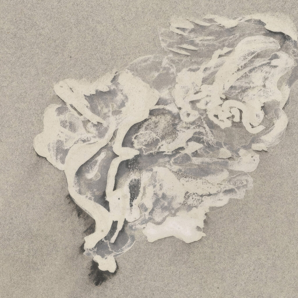Bloem 1874 Carel Adolph Lion Cachet 1 8 mockup