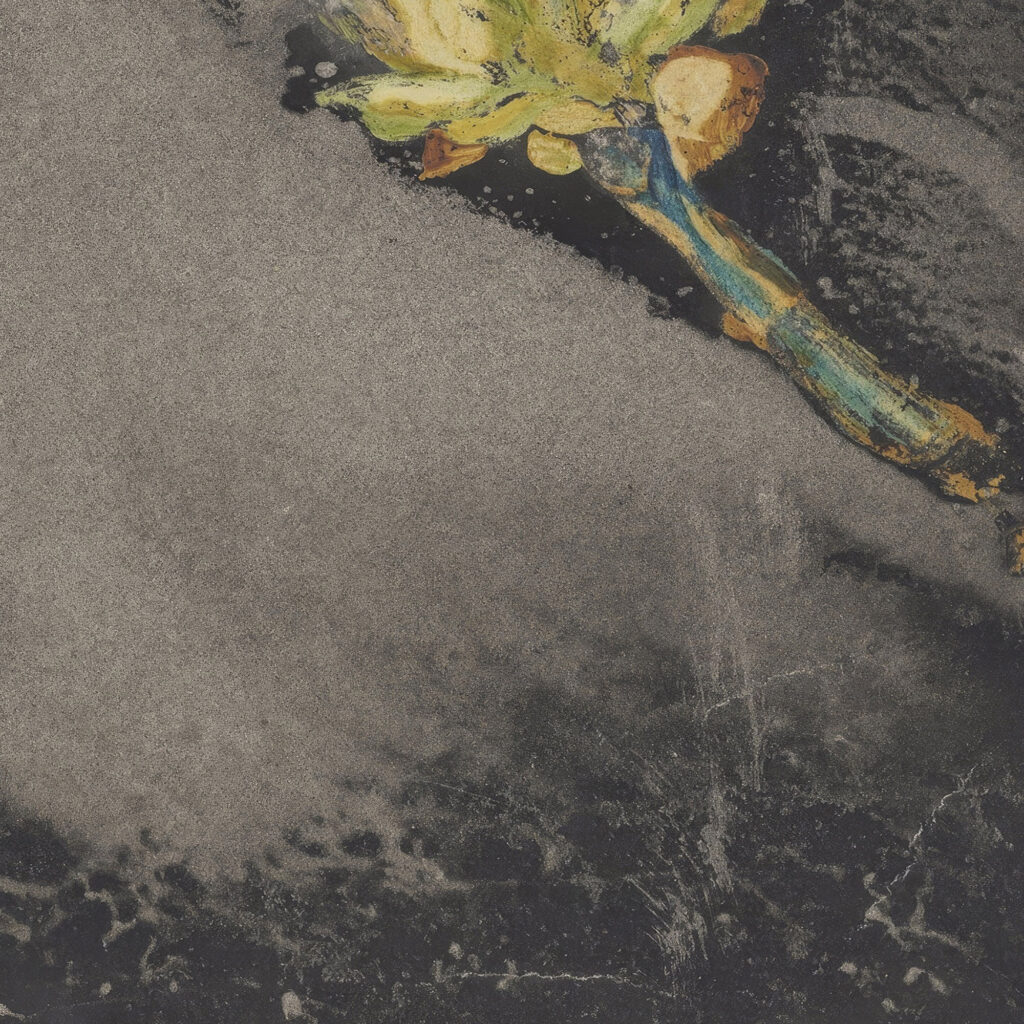 Bloem 1874 Carel Adolph Lion Cachet 2 8 mockup