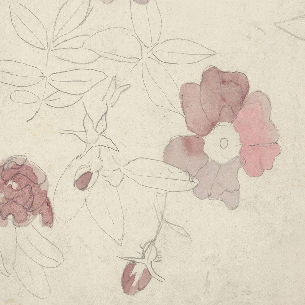 Bloemenstudies in paars en roze 1874 Carel Adolph Lion Cachet 8 mockup