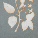 Blutenzweig Wald Geissblatt Philipp Otto Runge 8 mockup Blutenzweig Wald Geissblatt Philipp Otto Runge 8 mockup