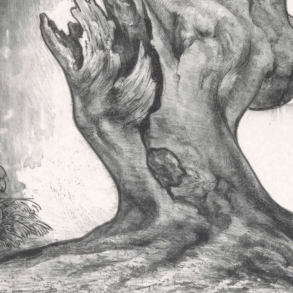 Boomstronk 1922 Simon Moulijn 8 mockup