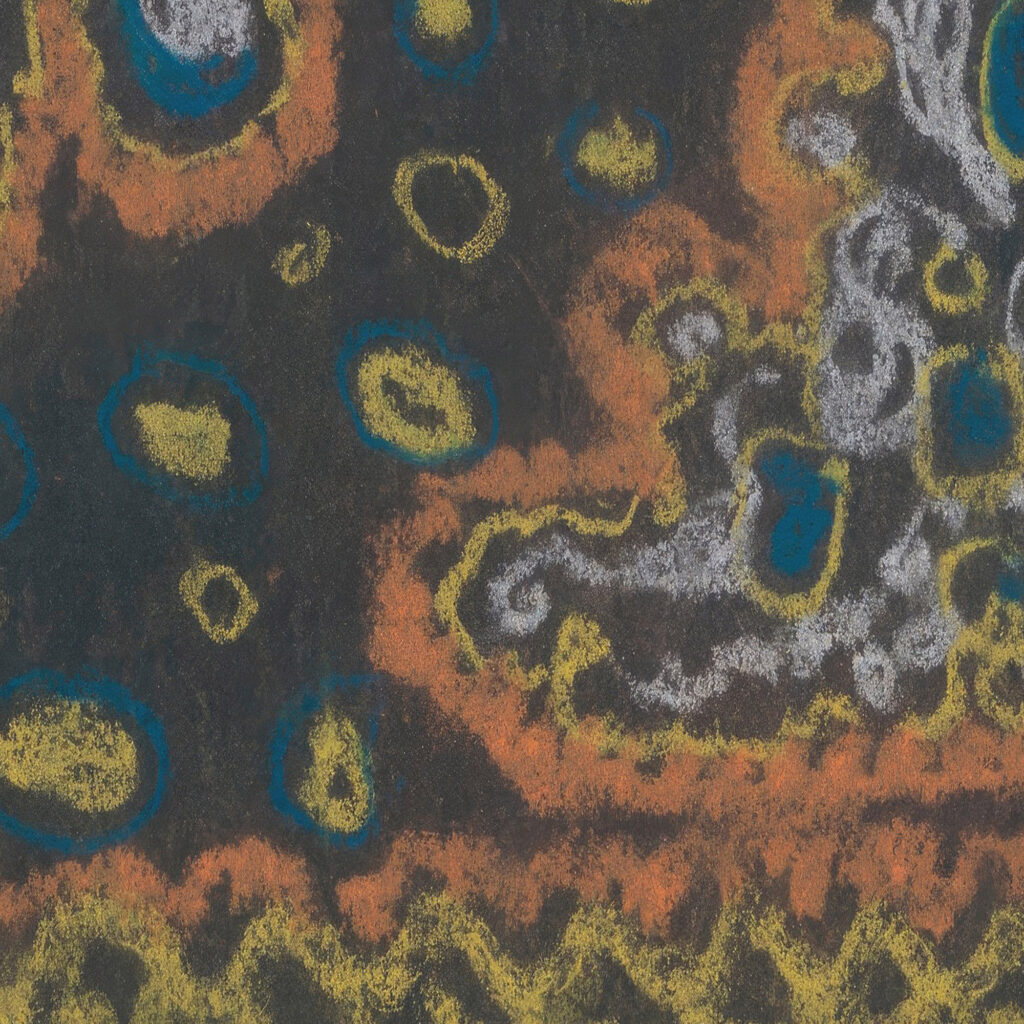 Burning Bushes Jules Schmalzigaug 8 mockup
