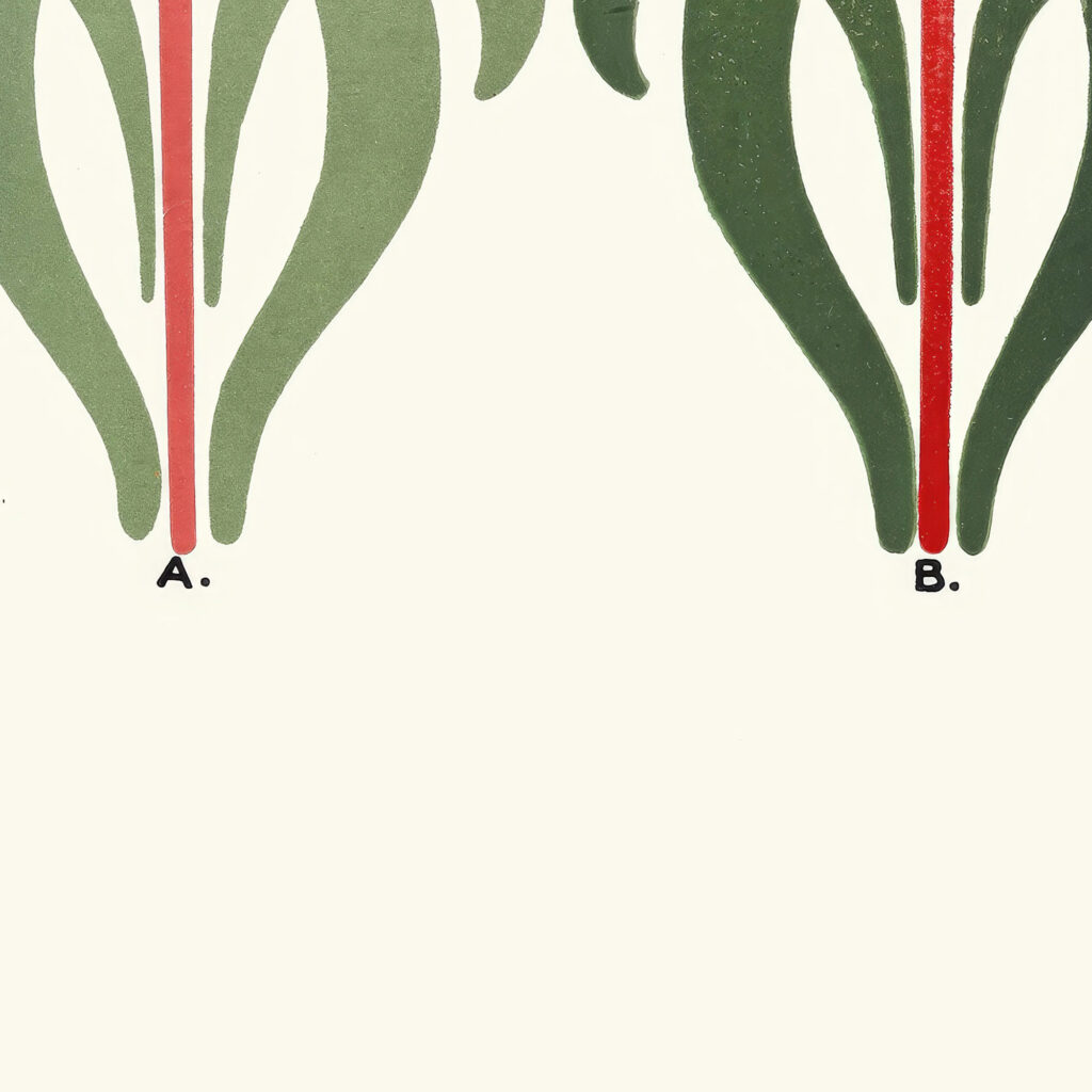 Flat and Uniform Application of Colours at A and Gradated Effect of the same Coloursused with a Full Brush at B 1912 James Ward 8 mockup