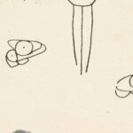 Four Studies for Two Figural Designs 1910 1915 Henri Gaudier Brzeska 8 mockup