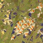 Frauenflachs 1917 Paula Rosler 8 mockup