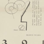 Front cover 1917 Francis Picabia 8 mockup