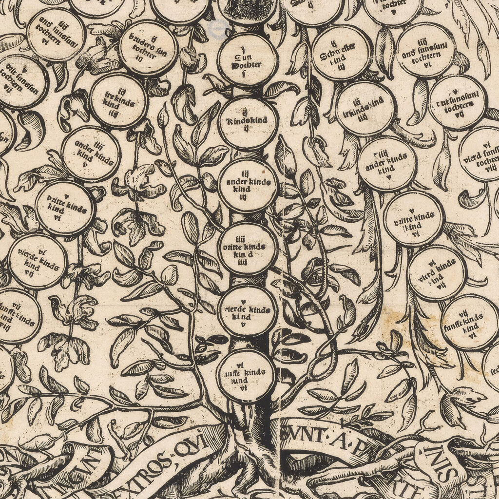 Genealogischer Baum 1519 20 Hans Holbein The Younger 8 mockup