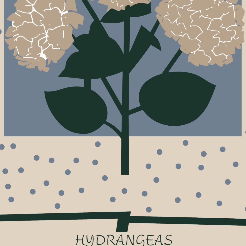 Hydrangeas 8 mockup