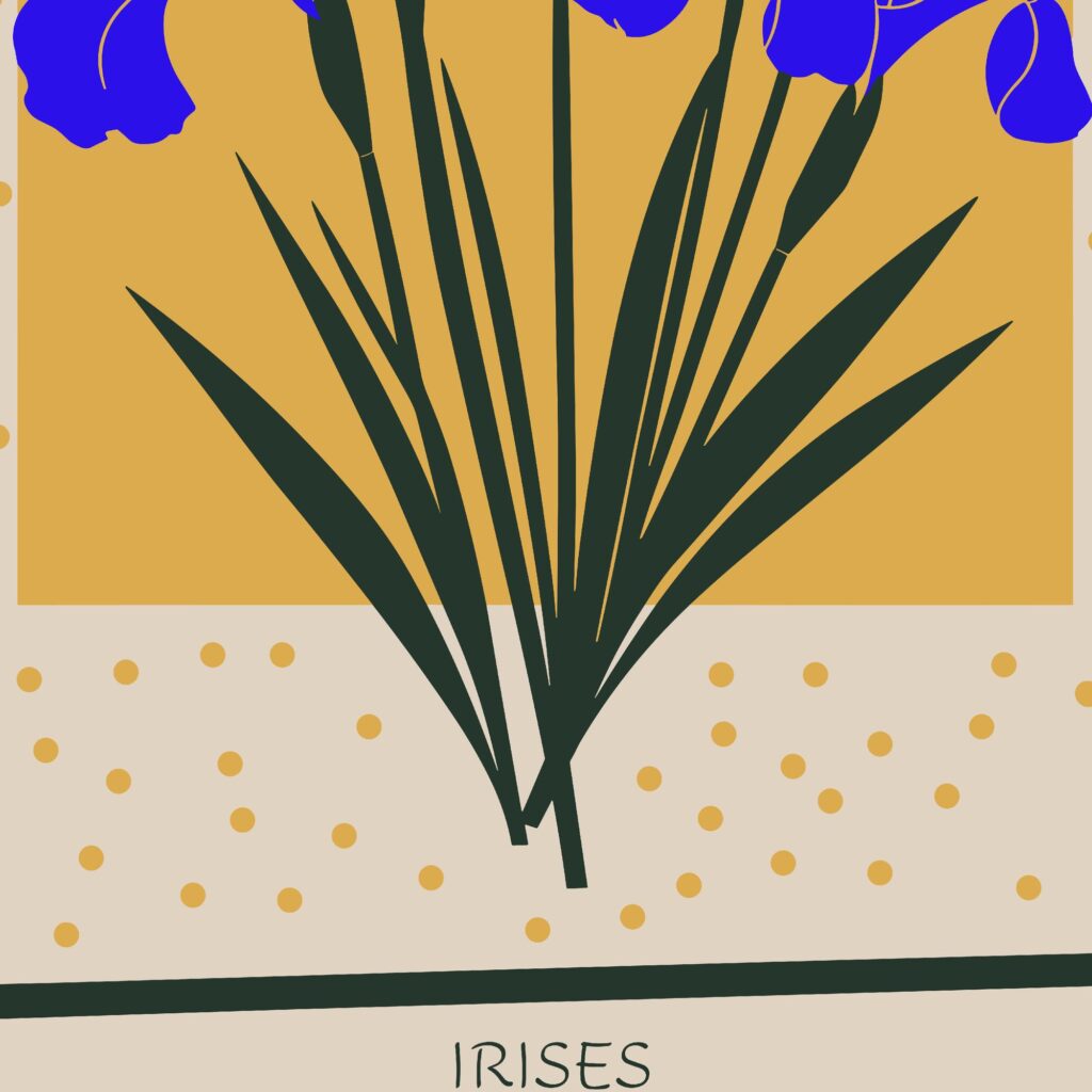 Iris 8 mockup