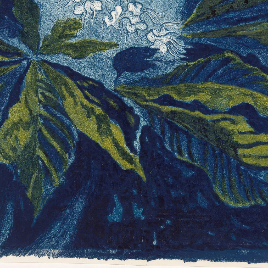 Kastanje 1922 Henri Braakensiek 8 mockup