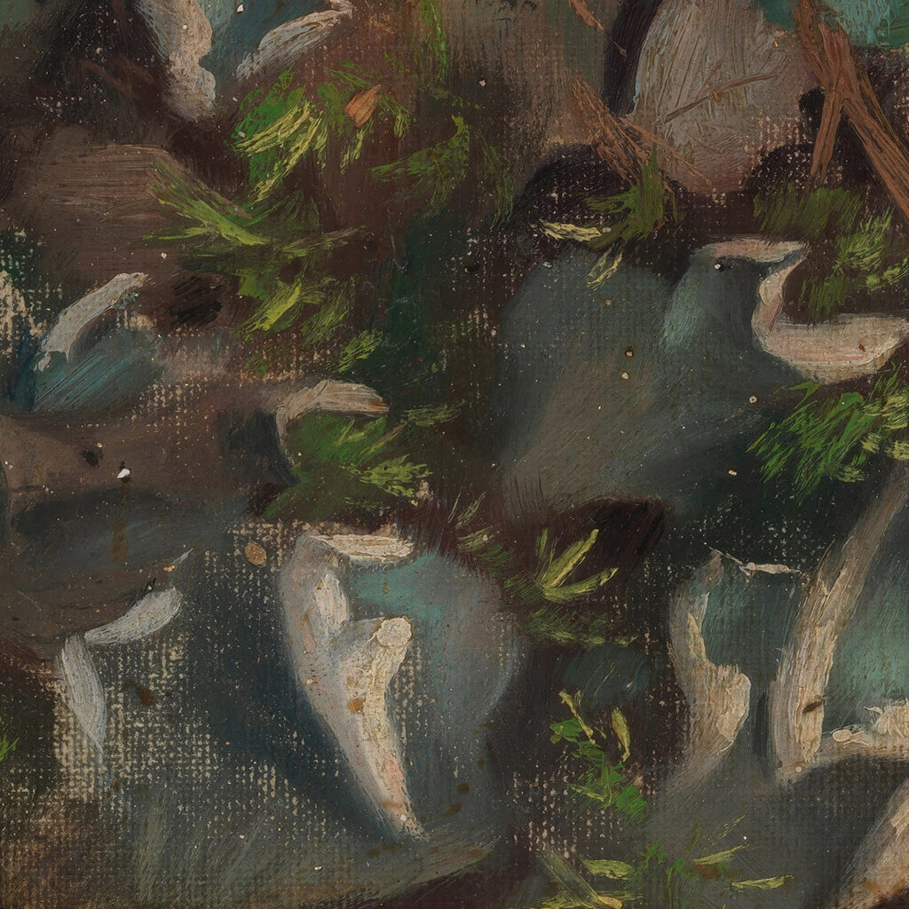 Lichen 1895 1896 Torsten Wasastjerna 8 mockup