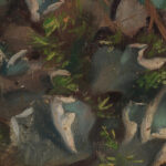 Lichen 1895 1896 Torsten Wasastjerna 8 mockup