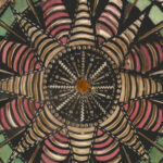 North Star ca. 1780 Unknown 8 mockup