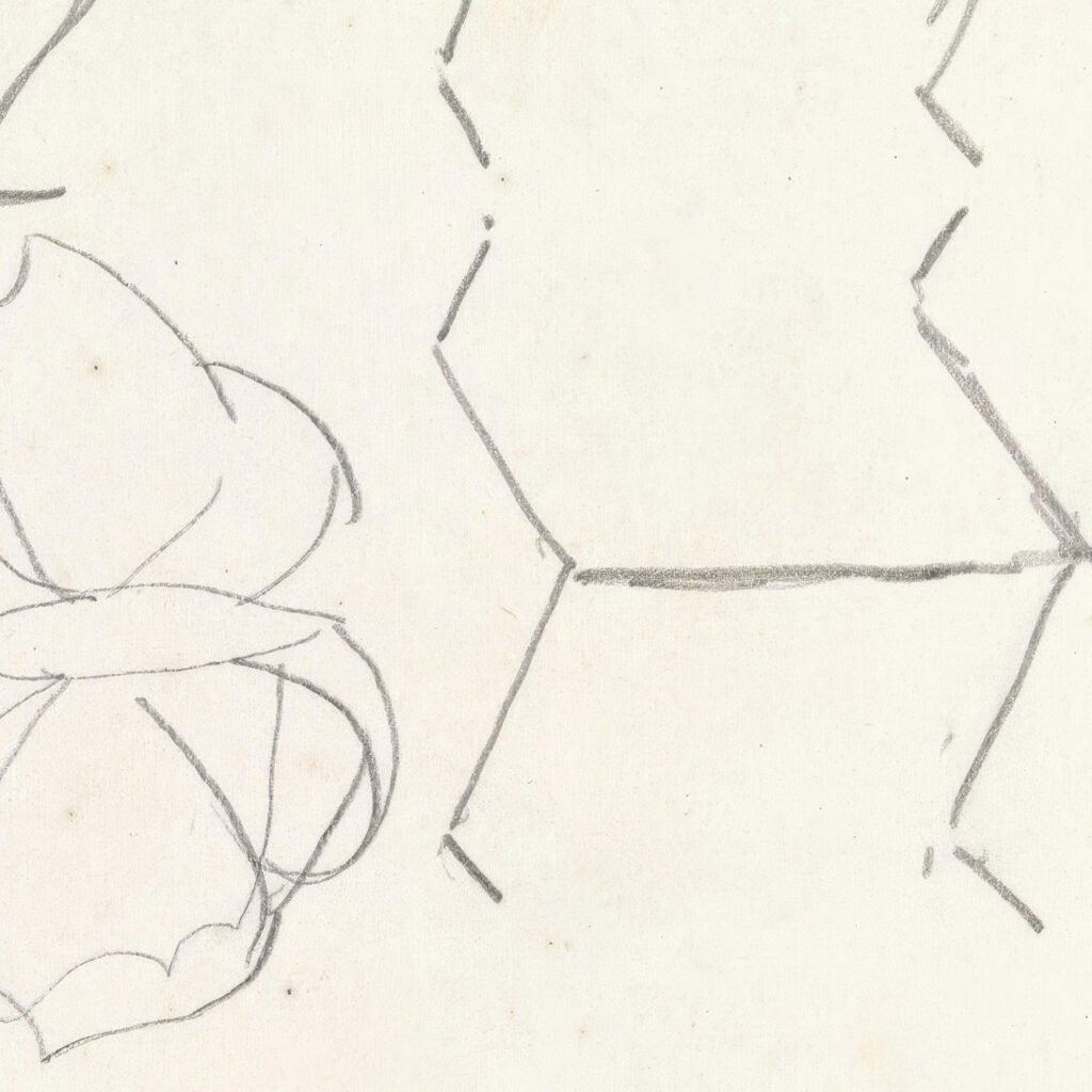 Ontwerpen voor een watermerk van een bankbiljet ornament en vlinder 1891 Leo Gestel 8 mockup