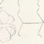 Ontwerpen voor een watermerk van een bankbiljet ornament en vlinder 1891 Leo Gestel 8 mockup