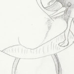 Ovaal met een kop in profiel naar rechts twee benen en een kop met gesloten ogen 1943 11 24 Samuel Jessurun de Mesquita 8 mockup