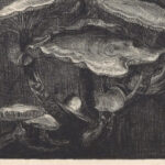 Paddenstoelen 1912 09 Chris Lebeau 8 mockup