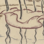 Park island in the pond Walter Ophey 8 mockup