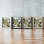 Pear 3x4 framed posters mockup