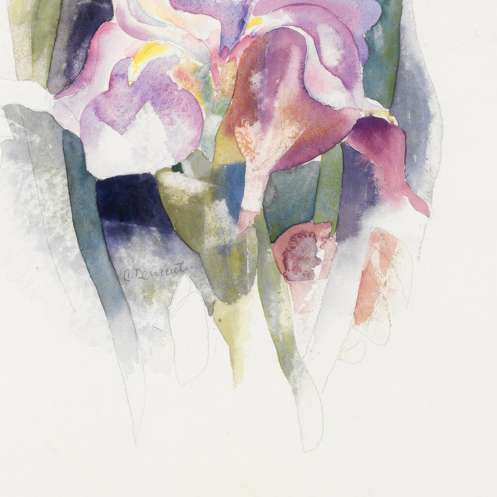 Purple Iris circa 1920 Charles Demuth 8 mockup