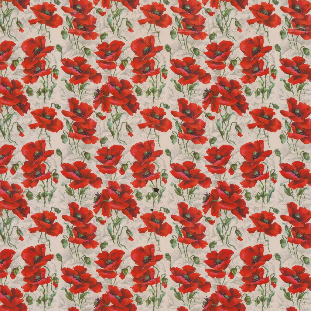 Red poppy design 1911 Unknown 8 mockup