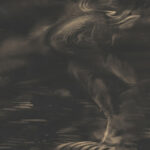 Salome 1910 1915 Frans Stamkart 8 mockup